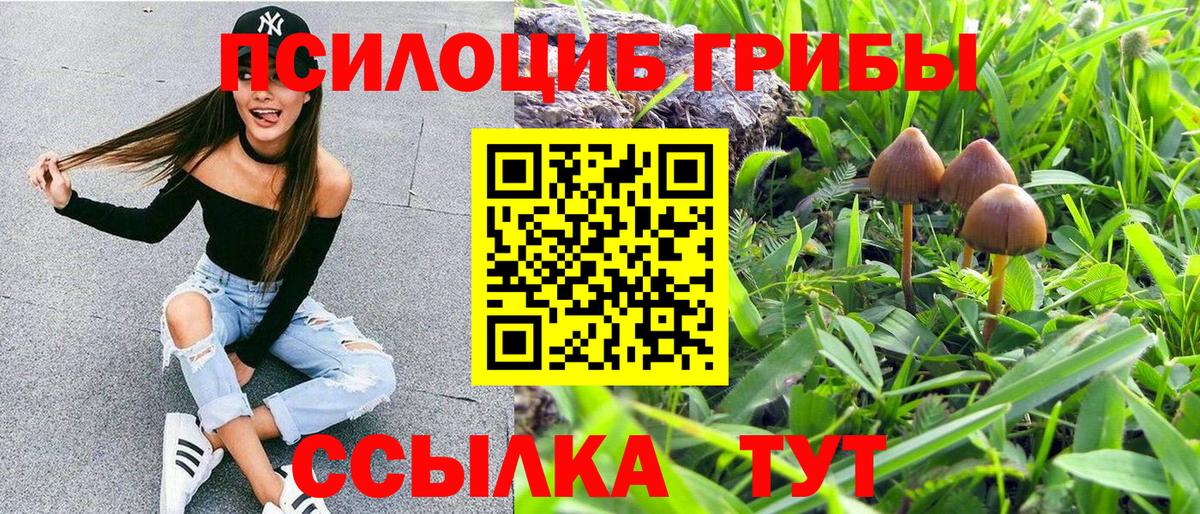 Кольчугино  Галлюциногенные грибы мухоморы  Вход с VPN  Псилоцибиновые грибы мухоморы 